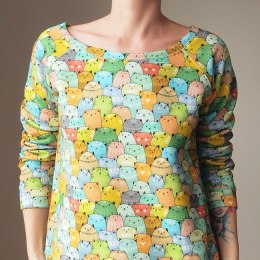 Kolorowe Kotki Bluza Raglan